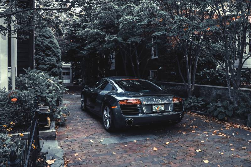 How to Protect Car from Falling Acorns