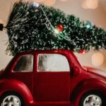 How to Tie a Christmas Tree to Your Car