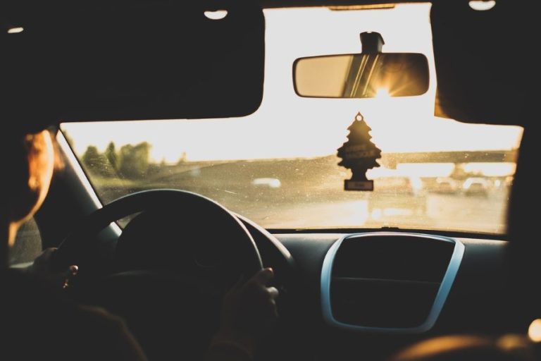 things to hang in your car